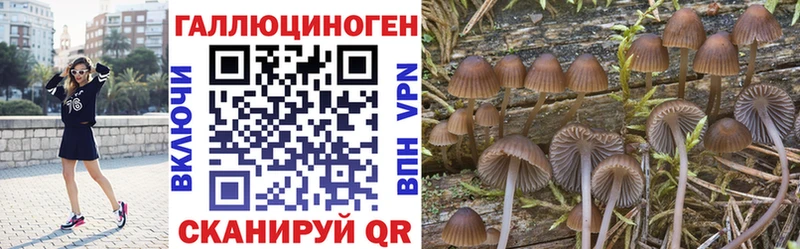 Псилоцибиновые грибы Psilocybine cubensis  hydra ссылка  Тында 