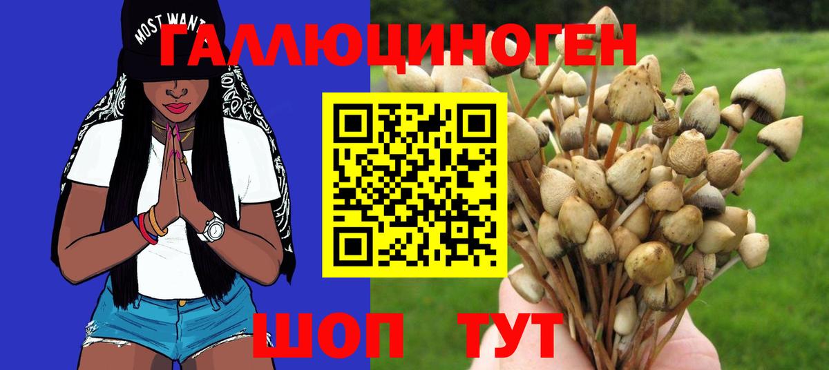 Галлюциногенные грибы мухоморы Тында
